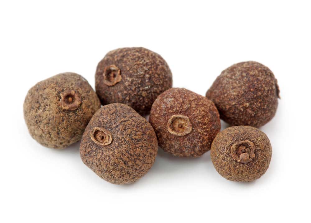 picture of allspice