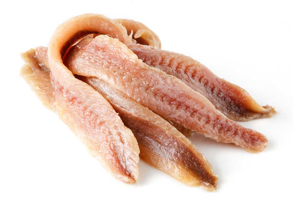 picture of anchovy