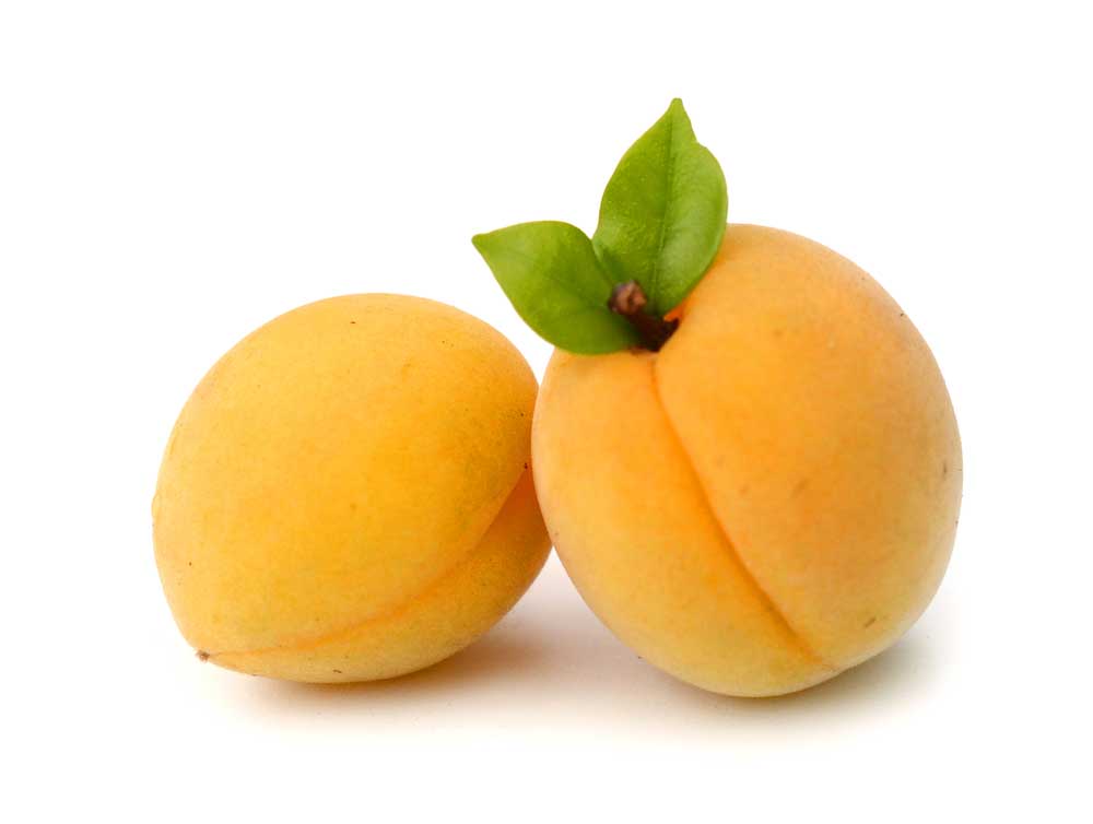 picture of apricot