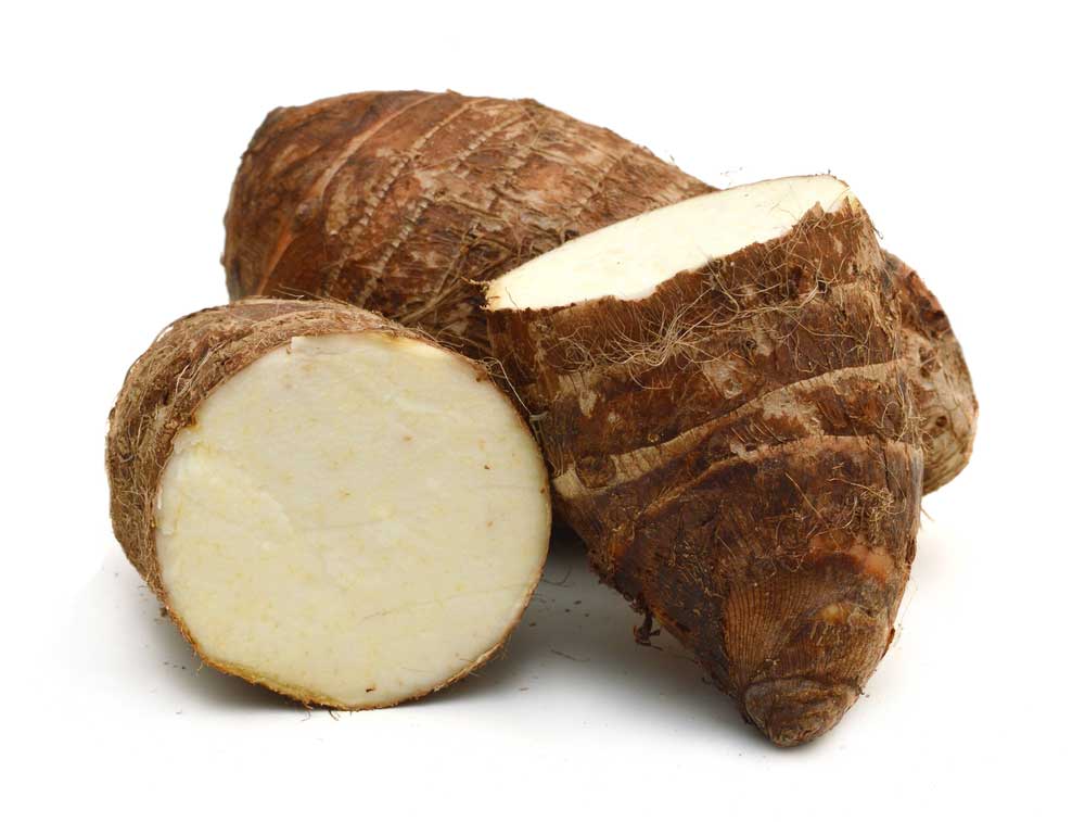 picture of arrowroot