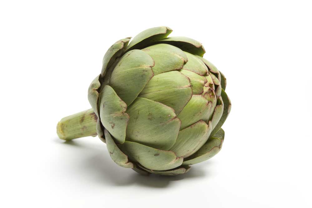 picture of artichoke