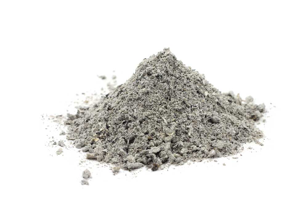 picture of ash