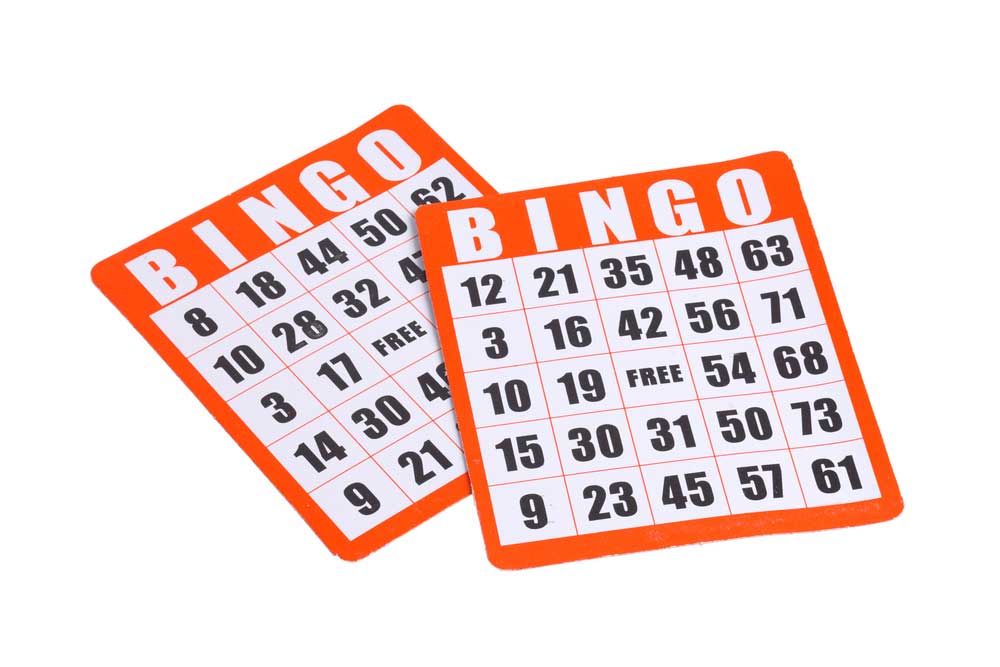 picture of bingo