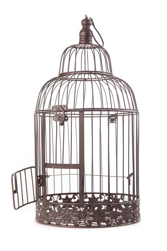 picture of birdcage