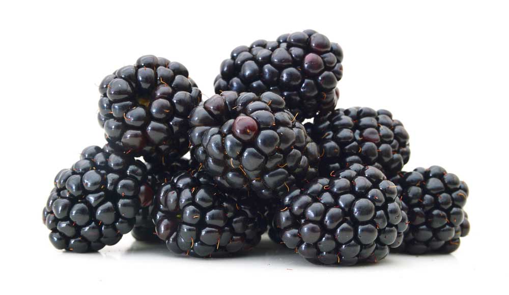 picture of blackberry