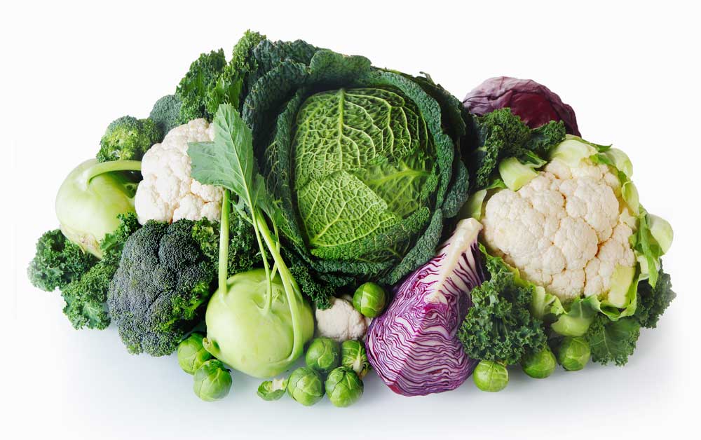 picture of brassica