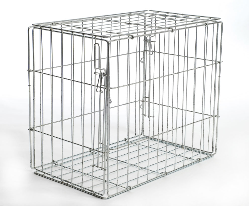 picture of cage