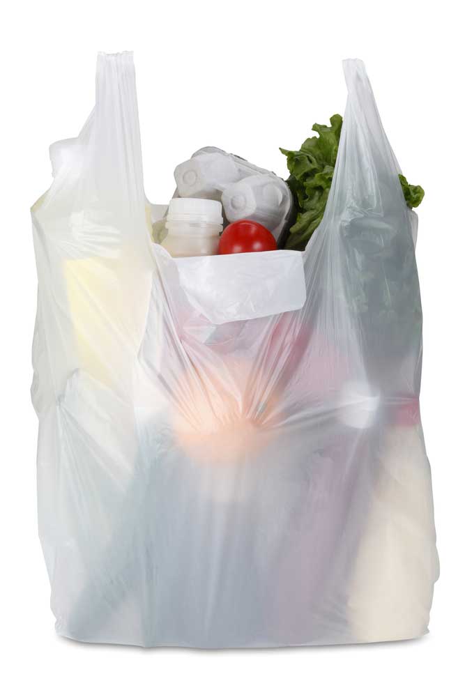 picture of carrier bag