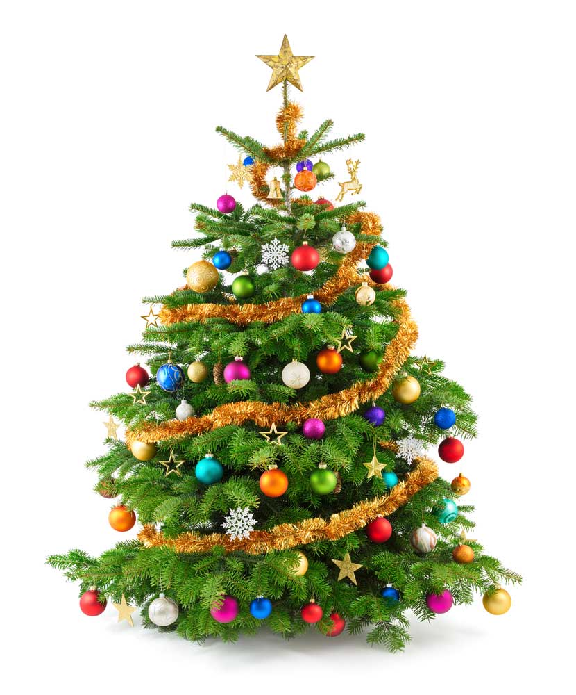 picture of christmas-tree