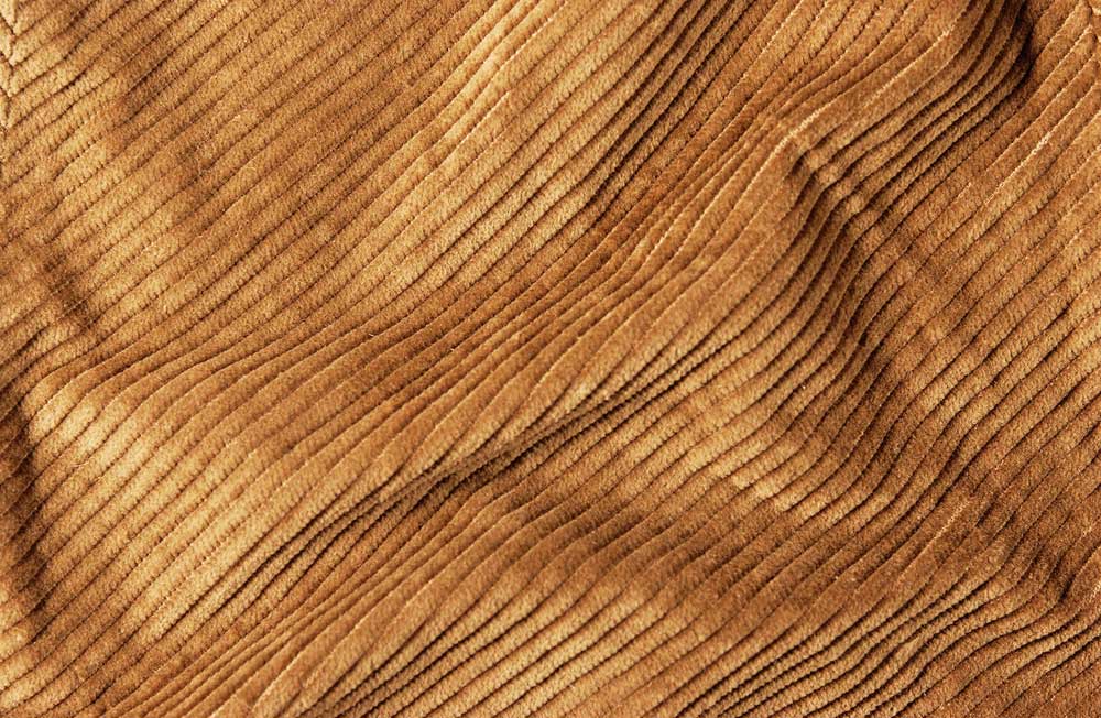 picture of corduroy