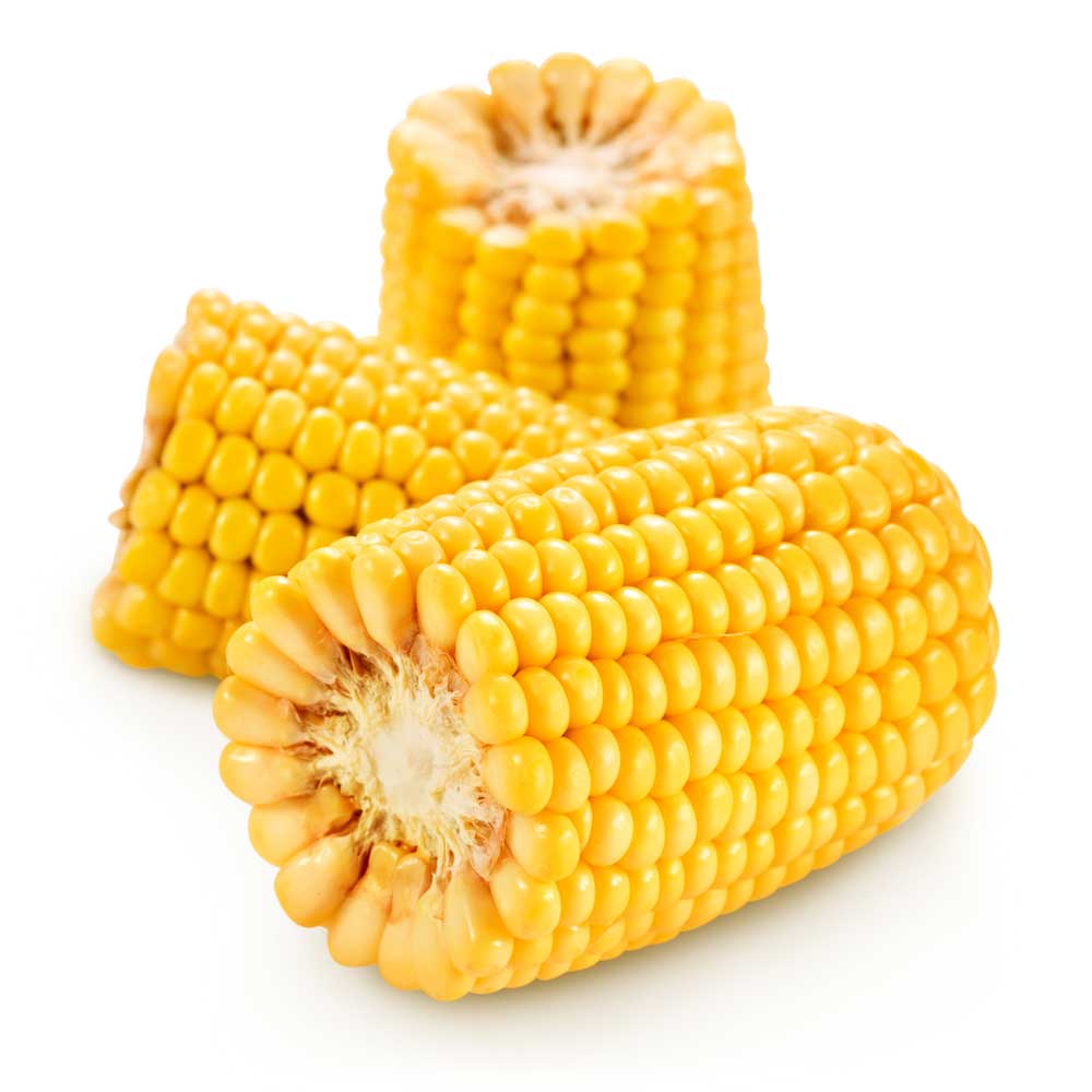 picture of corn-on-the-cob