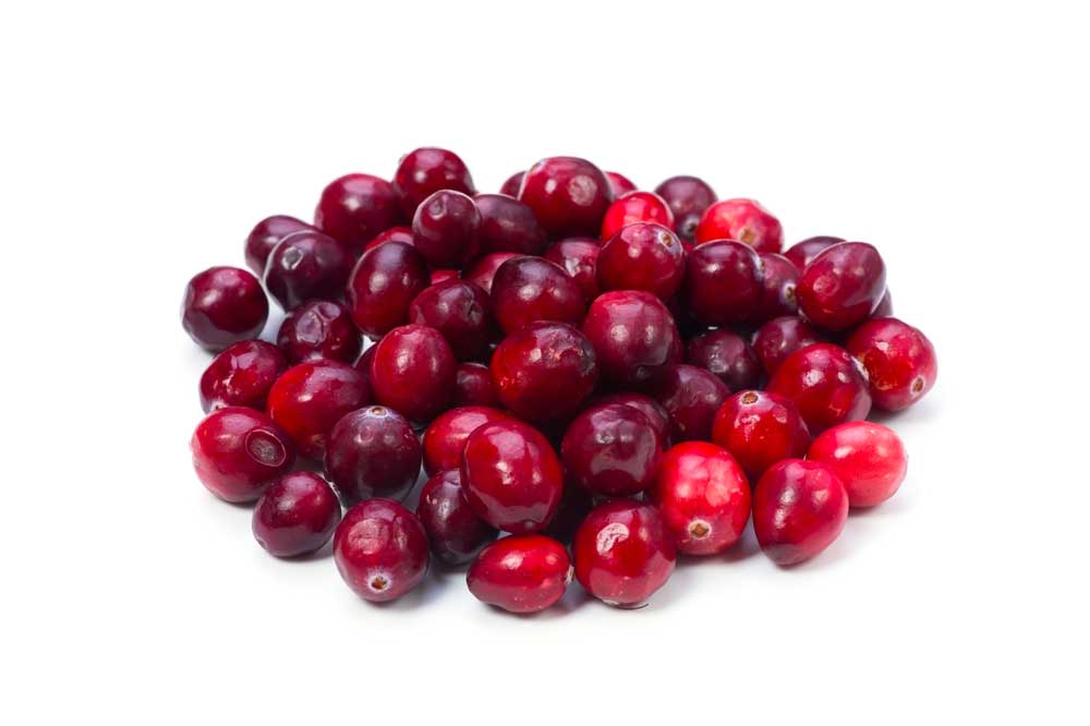 picture of cranberry