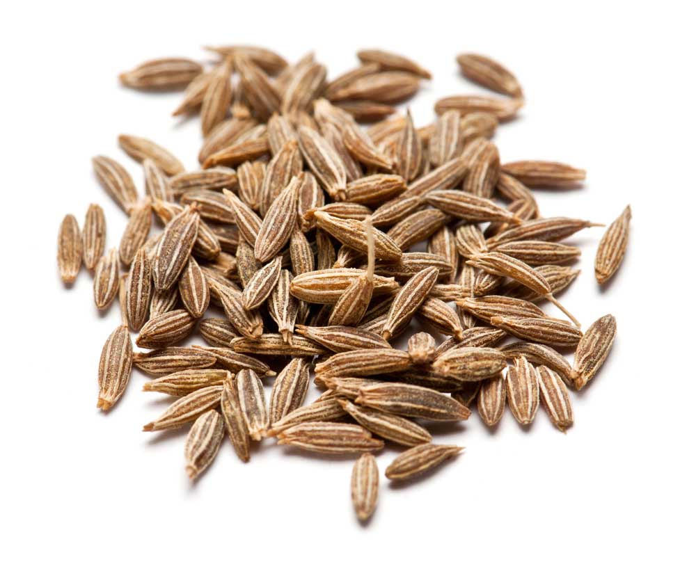 picture of cumin