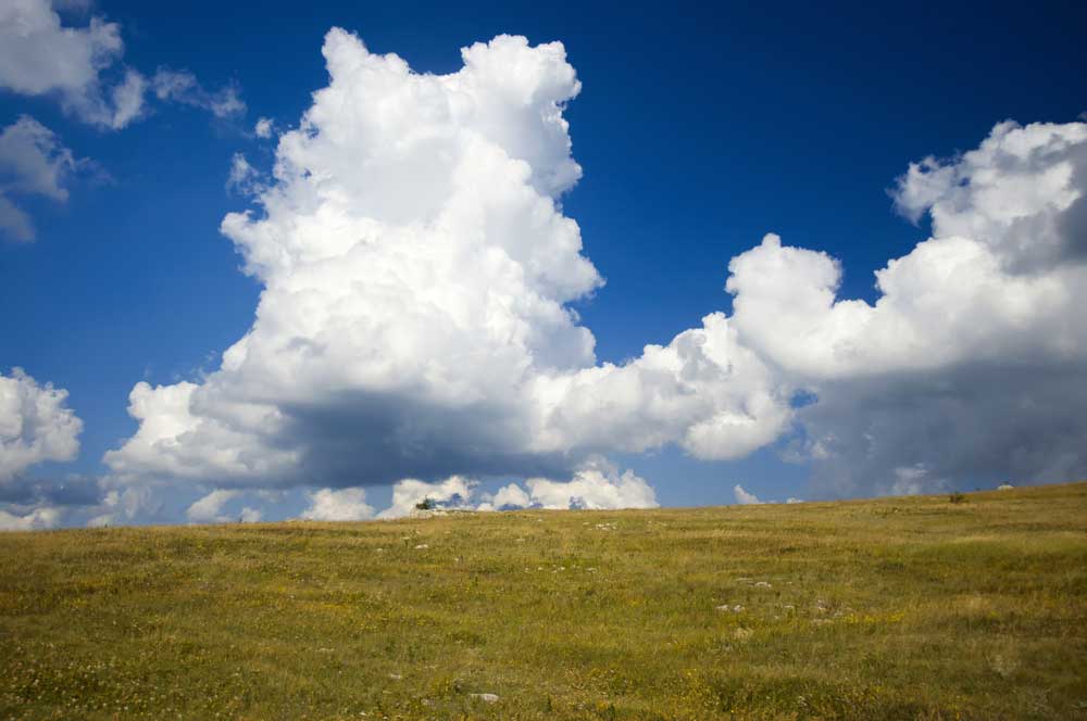 picture of cumulus