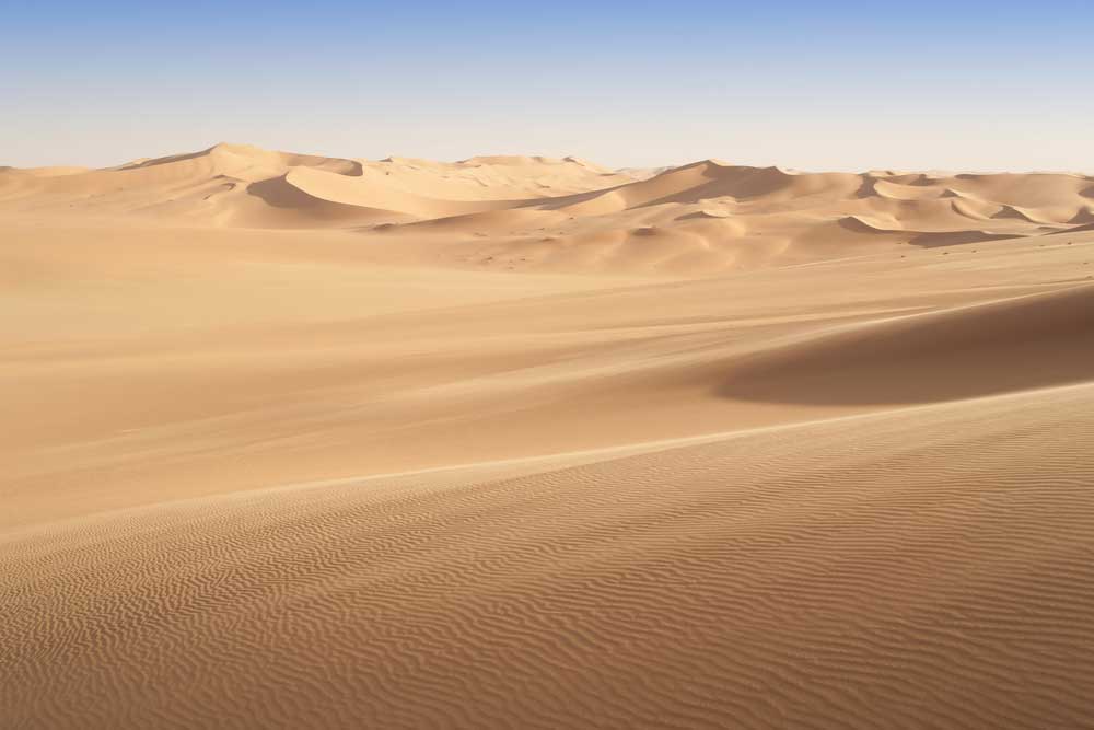 picture of Desert