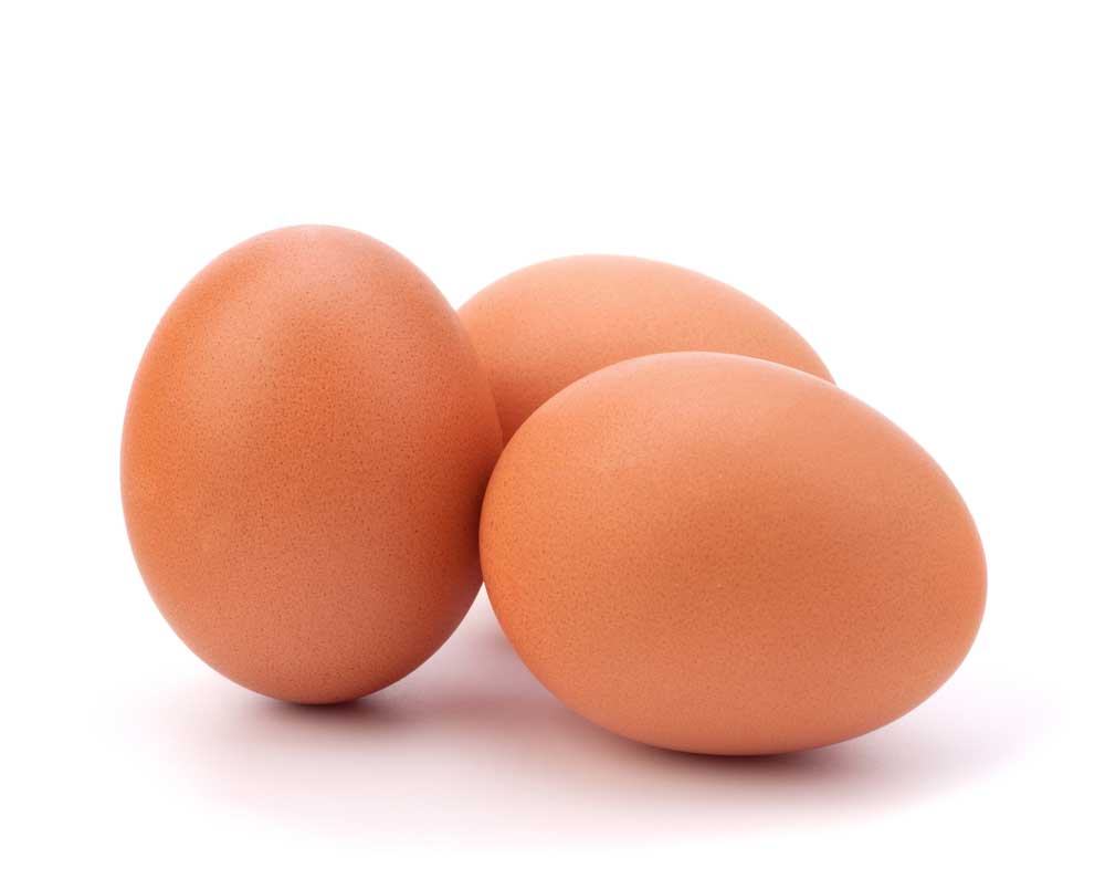 picture of egg