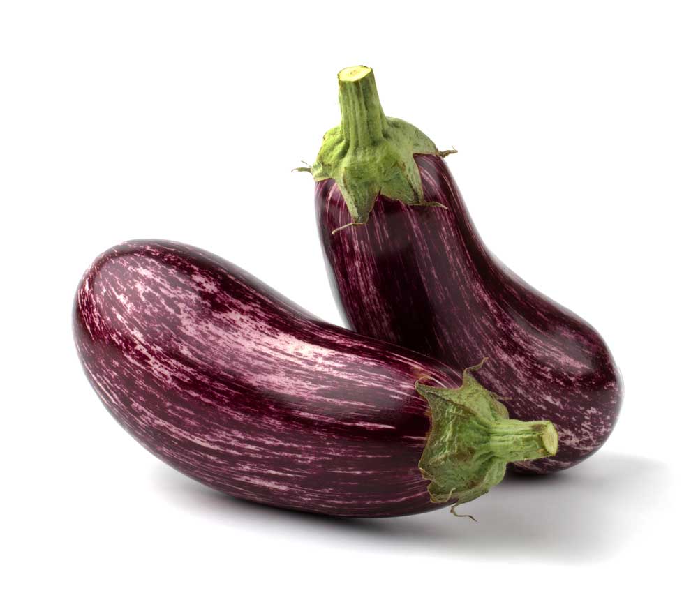 picture of eggplant