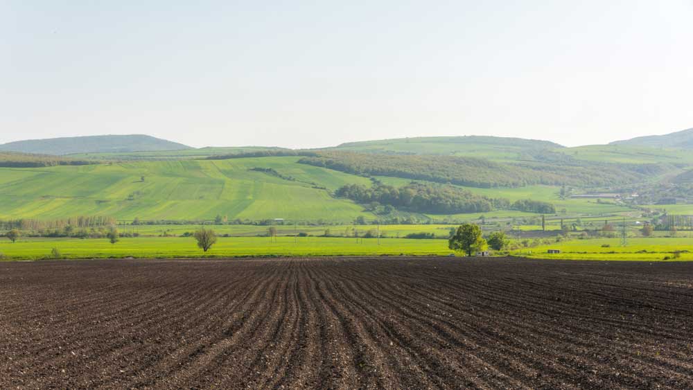 picture of Farmland