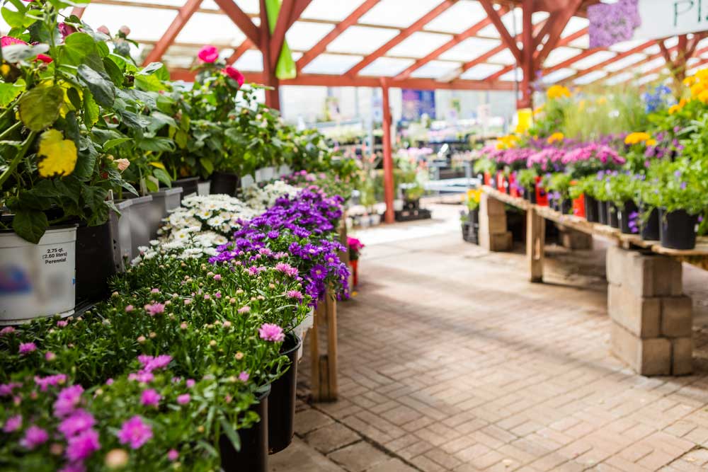 picture of garden-centre