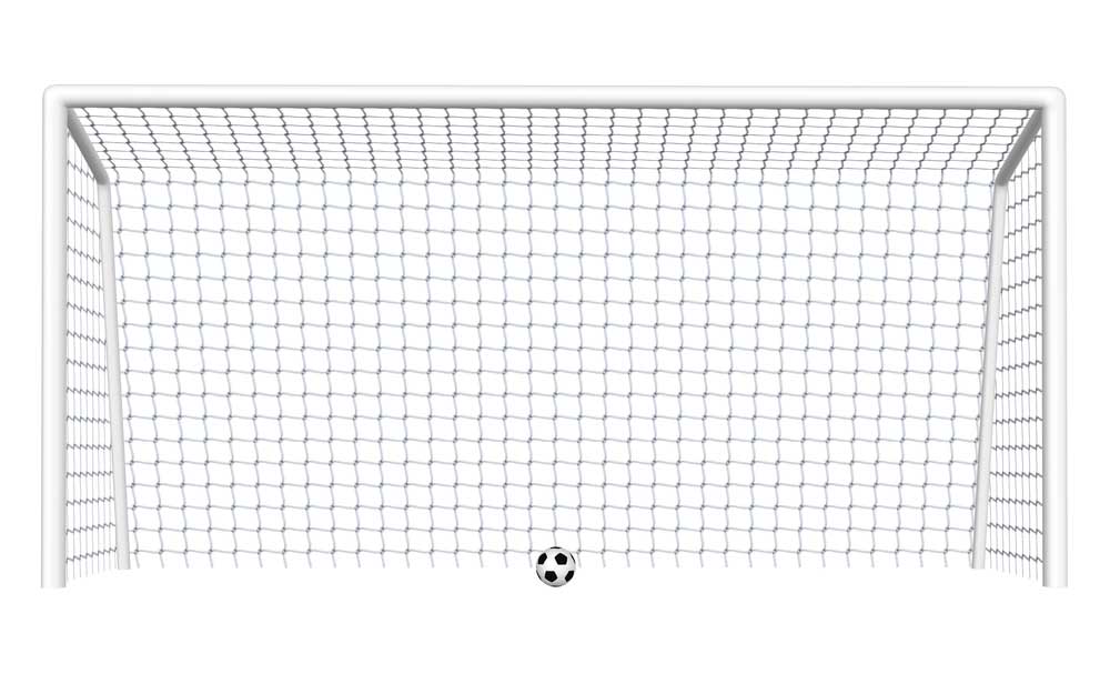 picture of Goal