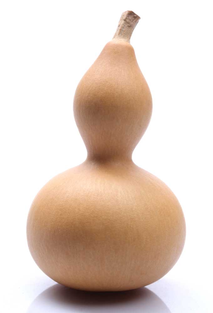 picture of gourd