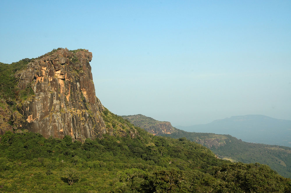 picture of Guinea