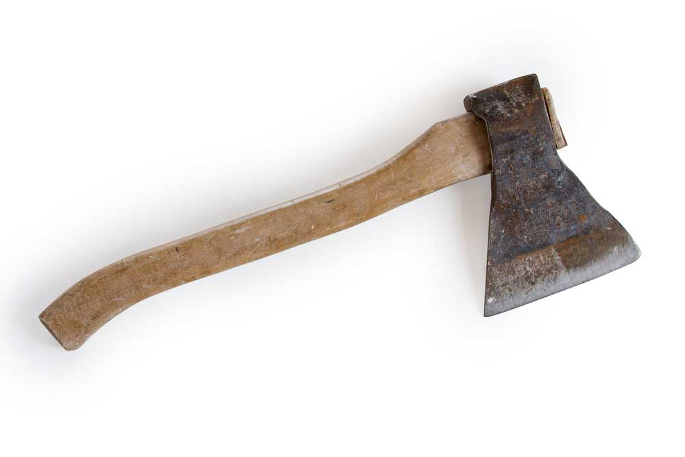 picture of hatchet