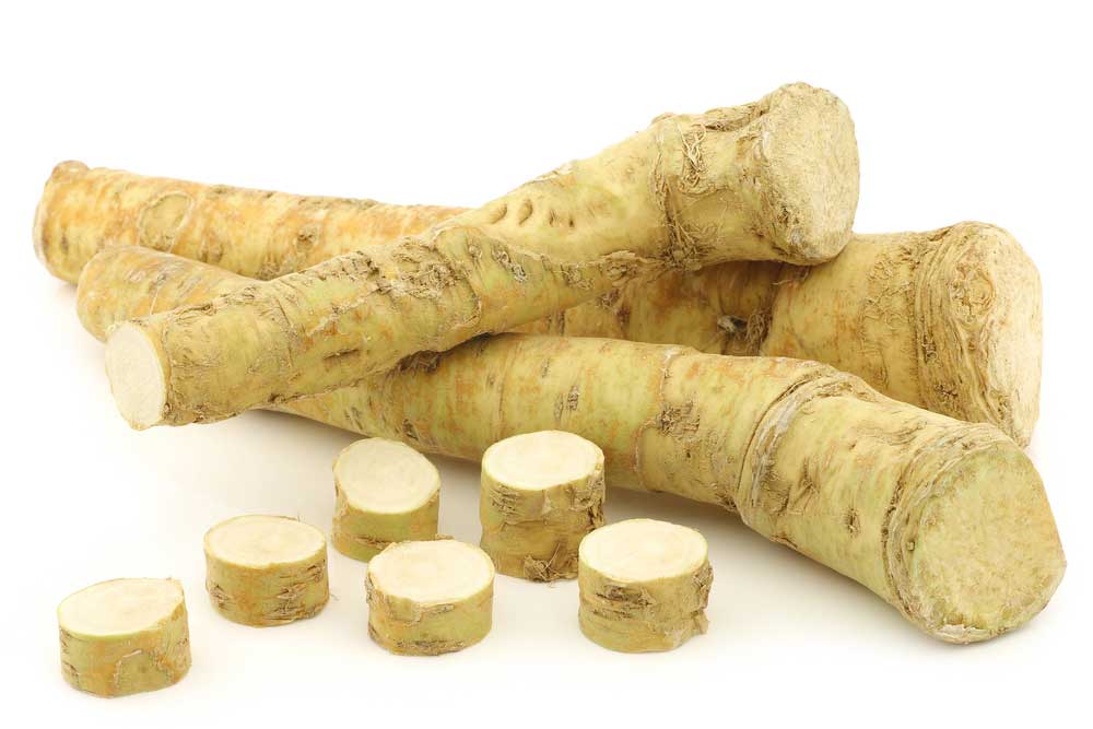 picture of horseradish