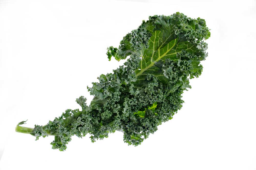 picture of kale