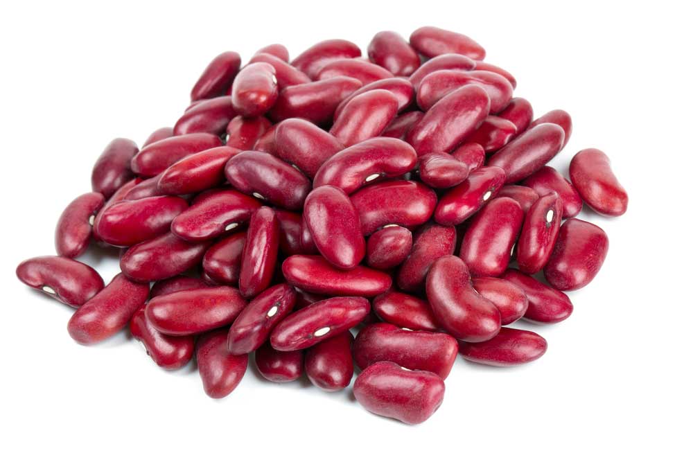 picture of kidney-bean