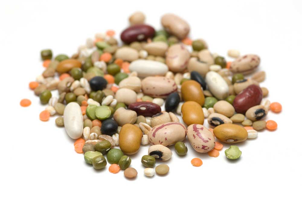 picture of legume