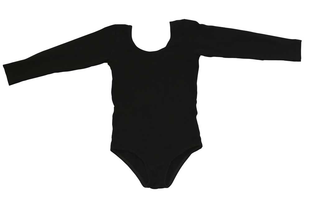 picture of leotard