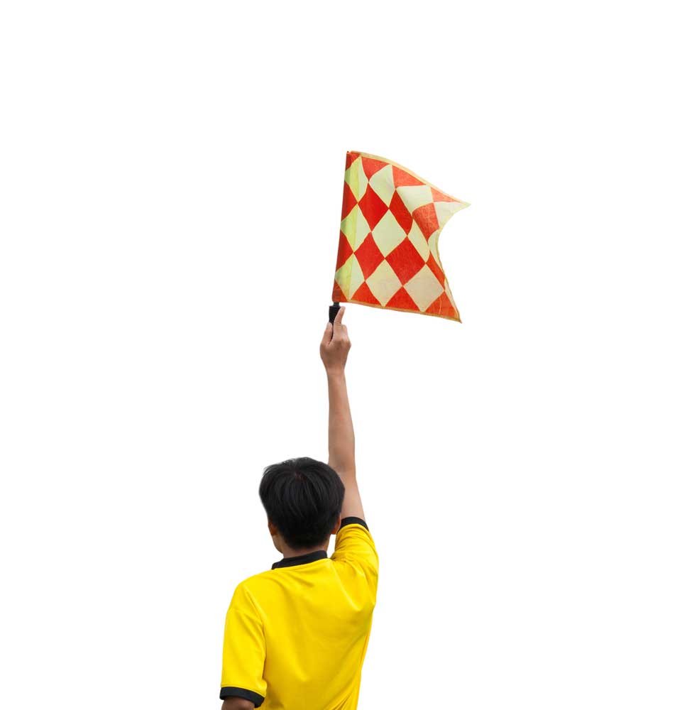 picture of linesman