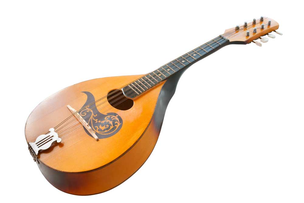 picture of mandolin