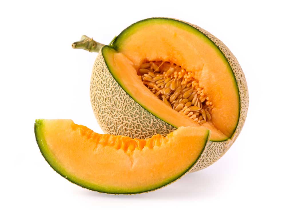 picture of melon