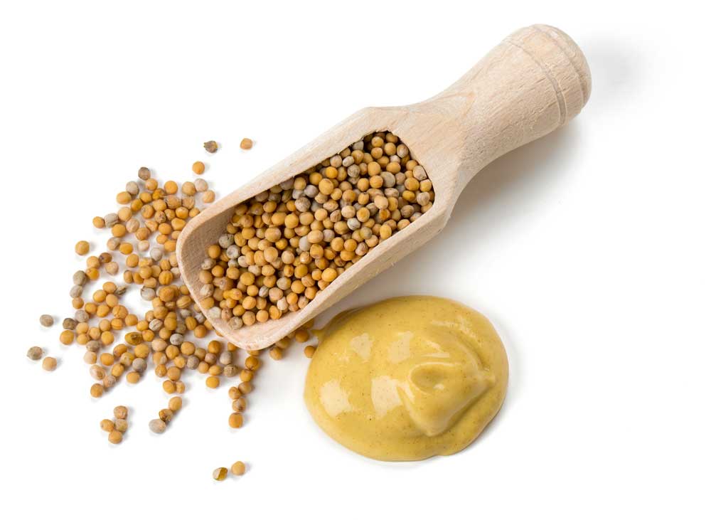 picture of mustard