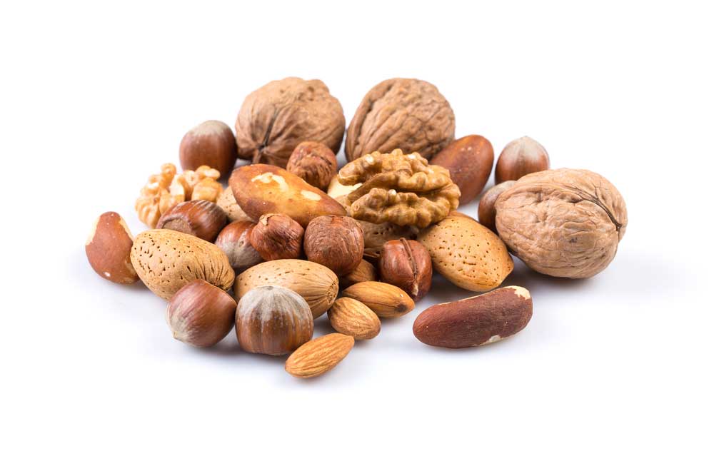 picture of nut