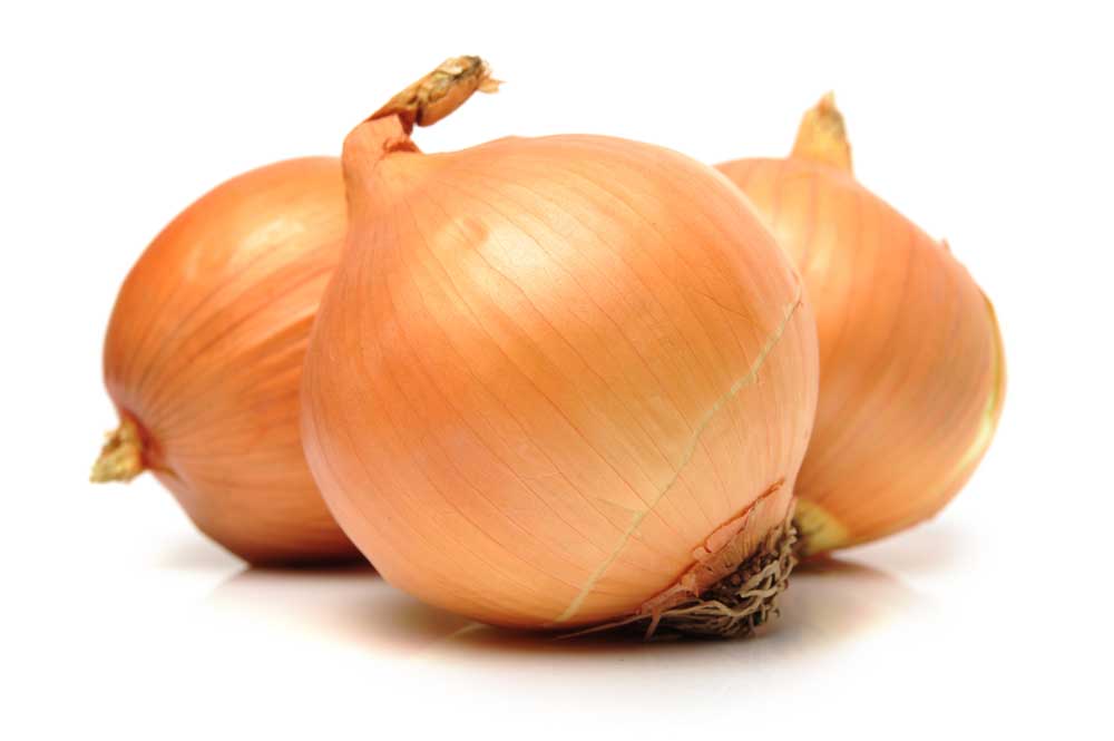 picture of onion