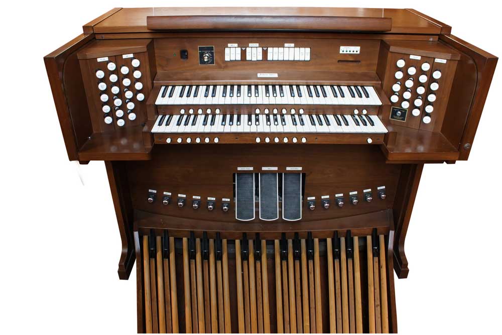 picture of organ