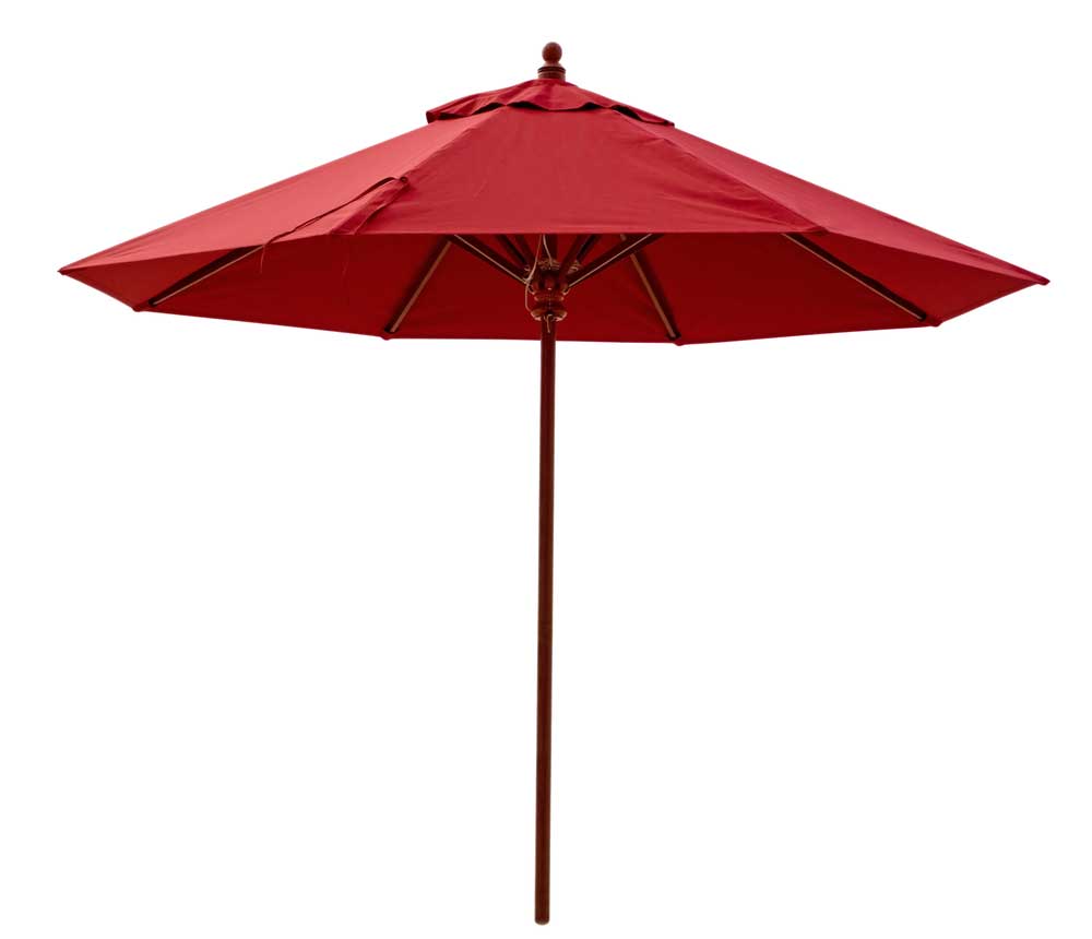 picture of Parasol