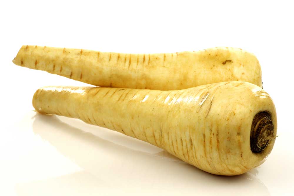 picture of parsnip