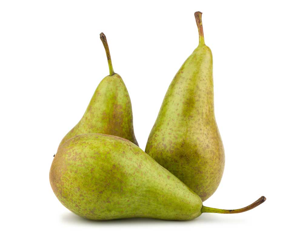 picture of pear