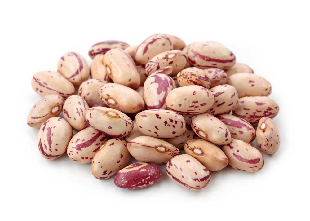 picture of pinto bean