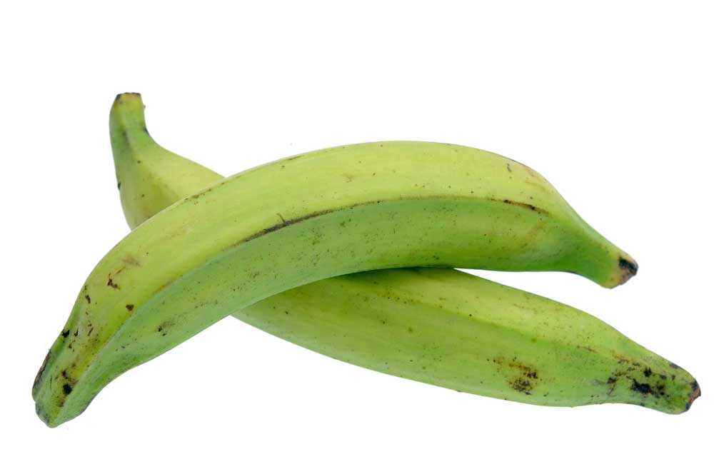 picture of plantain