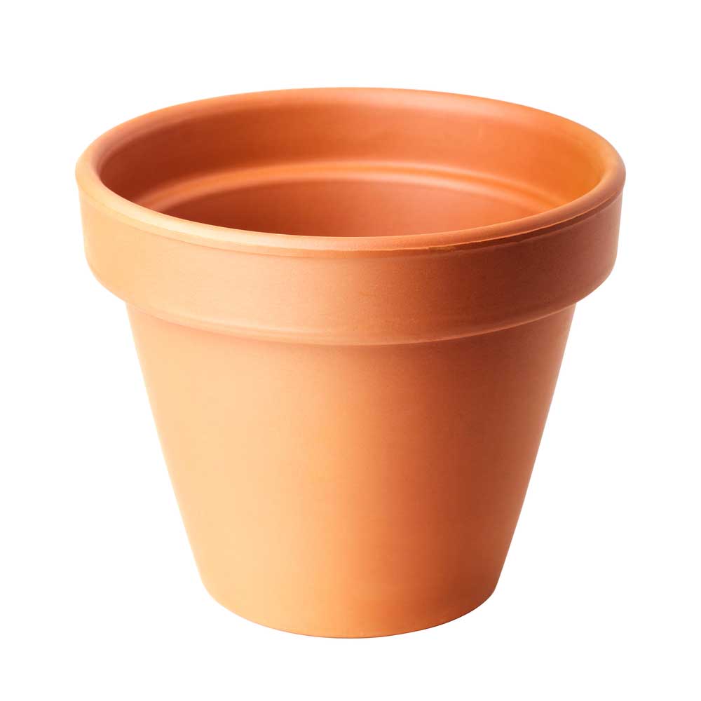 picture of plant-pot