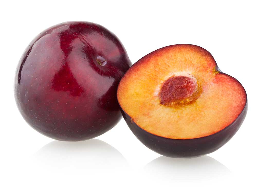 picture of plum