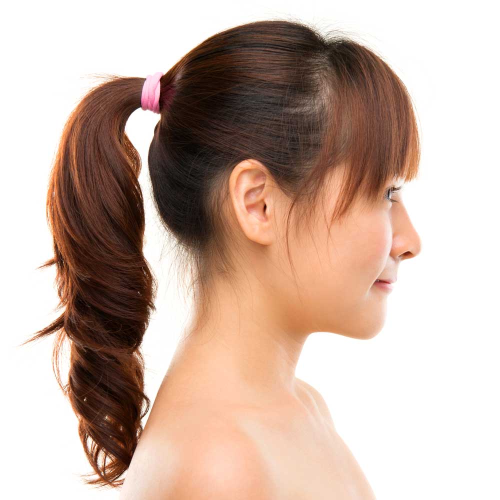 picture of ponytail