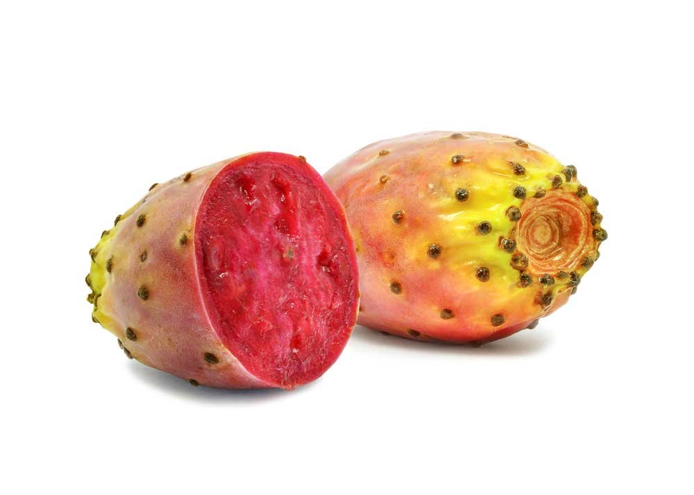 picture of prickly-pear