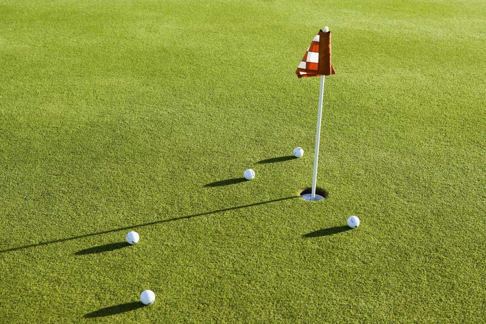 picture of putting-green