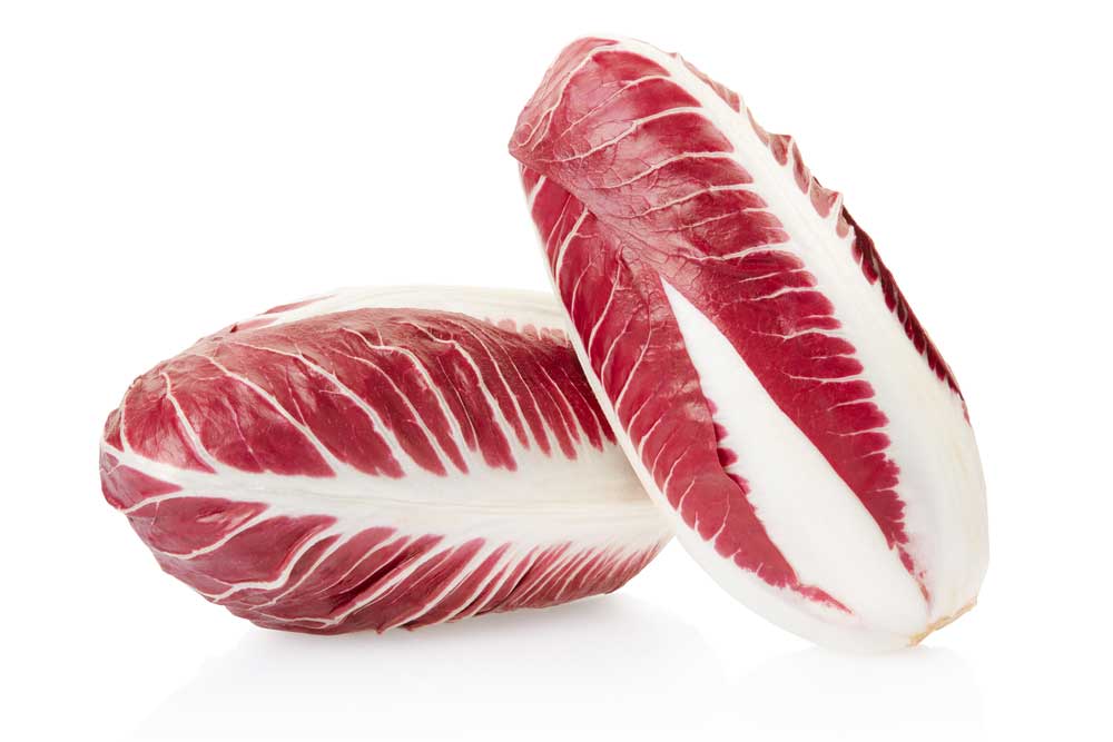 picture of radicchio